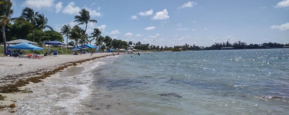 The Best Beaches in the Florida Keys