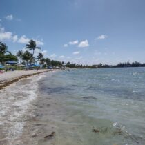 The Best Beaches in the Florida Keys