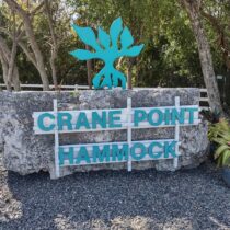 Explore Crane Point Hammock in Marathon Florida