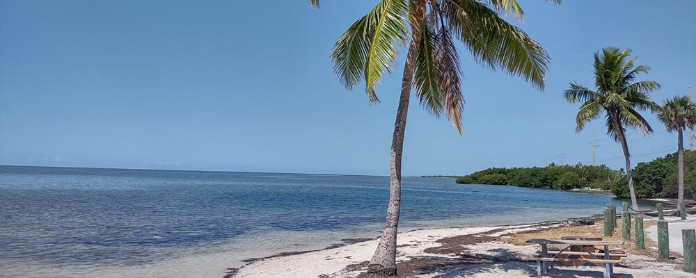 Marathon Florida: More Than Just a Drive Through Town