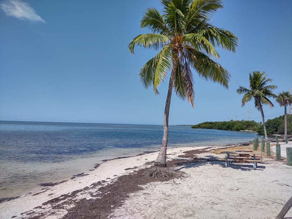 Blue cloudless skies cover the turquoise waters as they lap on the palm tree lined beach.