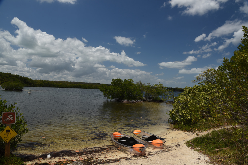 Two kayaks sit on the shore at John Pennekamp Coral Reef State Park.  Mangroves grow in small bunches in the clear water in the complete Florida Keys Travel Guide.