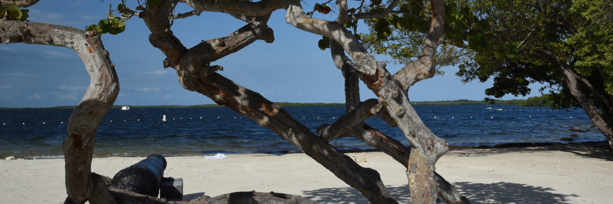 John Pennekamp Coral Reef State Park