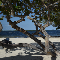 John Pennekamp Coral Reef State Park