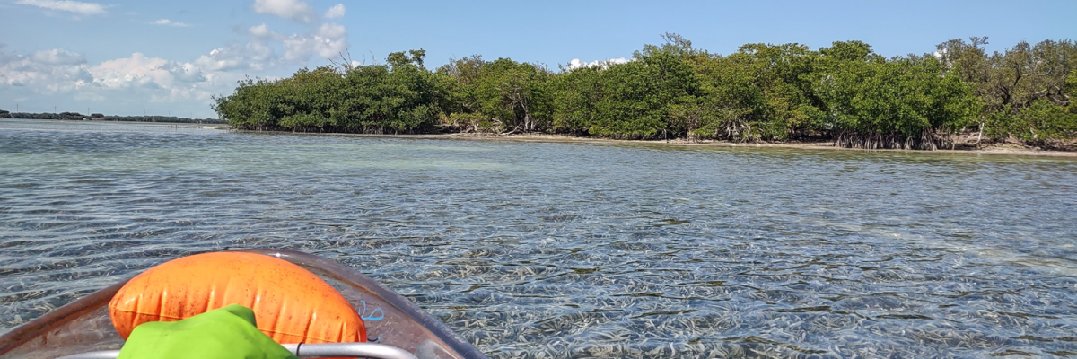 Indian Key: The Florida Keys Ghost Town