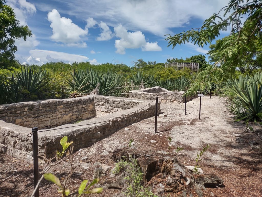 Old brick cisterns surrounded by agave plants sit under a blue sky at Indian Key
