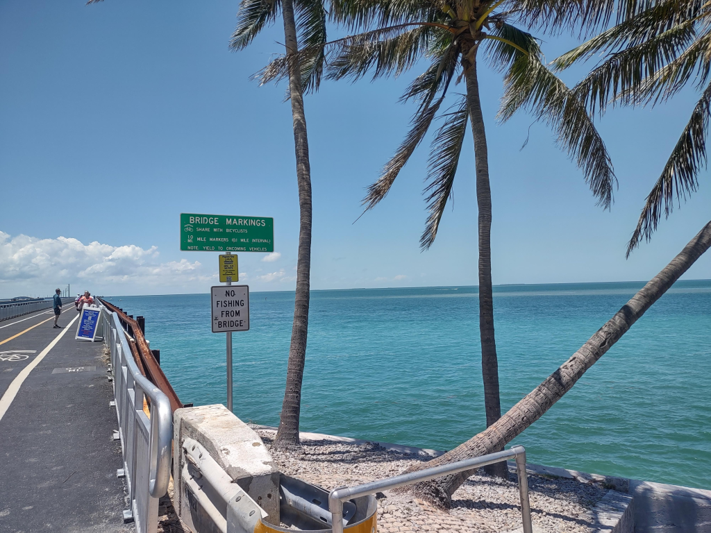 The pedestrian bridge to Pigeon Key with palm trees and turquoise water