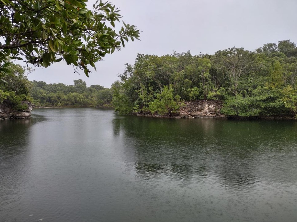 A water filled quarry with trees on the opposite shore at Dagny Johnson State Park.