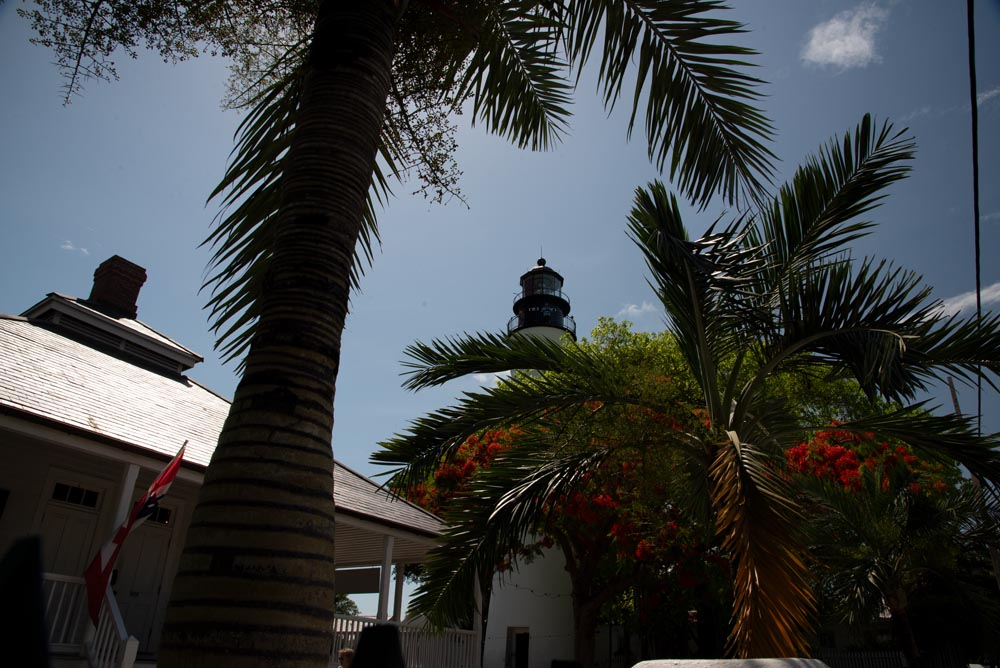 The top of the Key West Lighthouse seen in the distance between two palm trees.