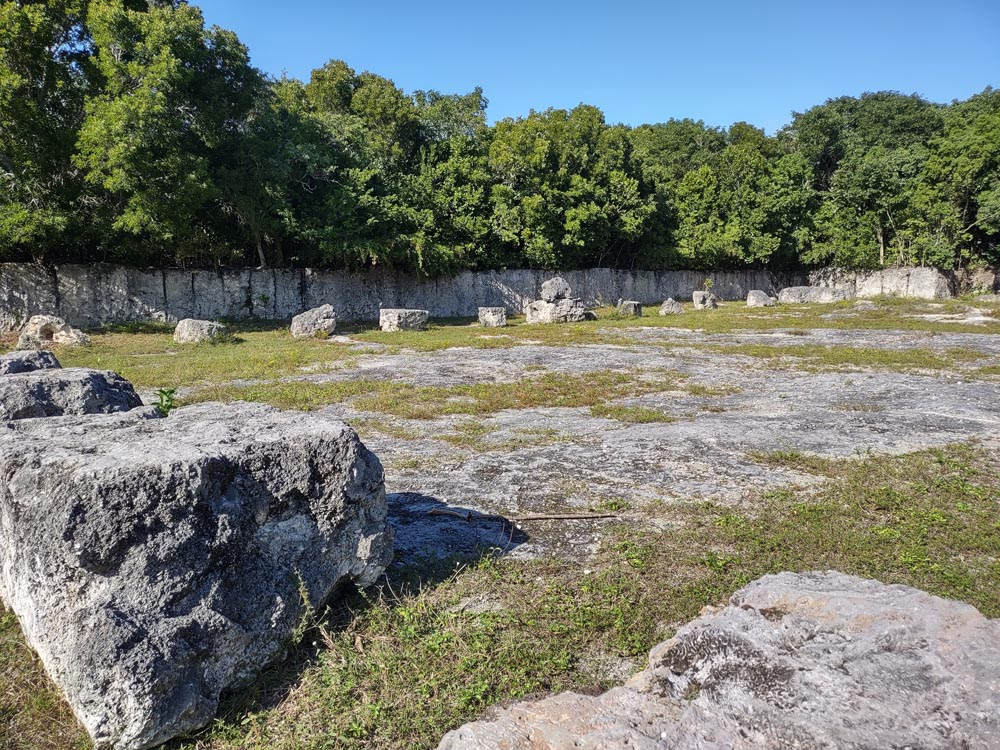 Slabs of fossilized coral are scattered in the quarry.