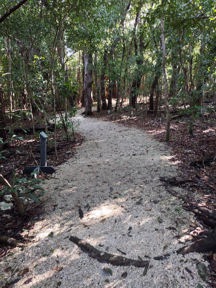 Gravel trail leads into a hammock of tropical hardwoods.