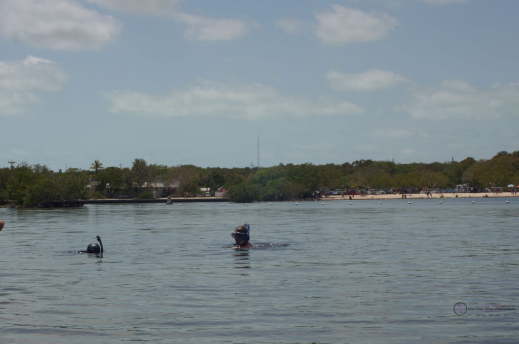 Two snorkelers are in the water at John Pennekamp Coral Reef State Park, one of the stops on the Ultimate Guide to Florida Keys Snorkeling.