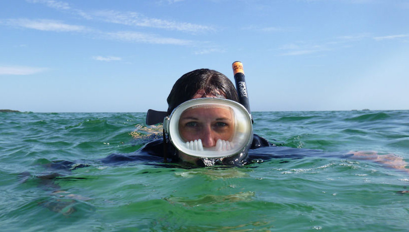 Ultimate Guide to Florida Keys Snorkeling: Top Spots and Tips for Beginners